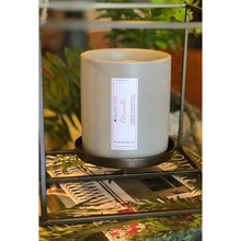 Citronella